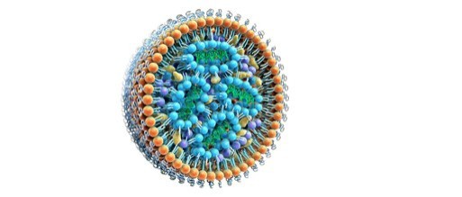 Genome Editing of Human Primary T Cells with Lipid Nanoparticles